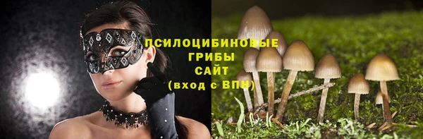 винт Алексеевка