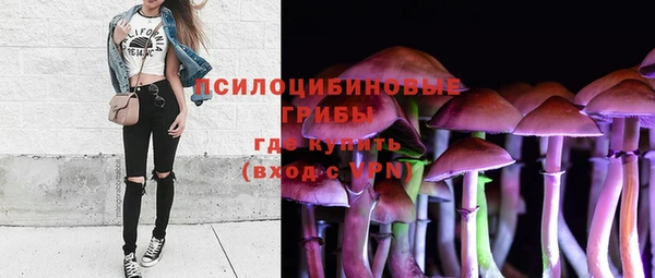 винт Алексеевка