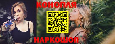a pvp Гатчина