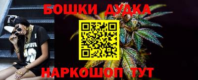 a pvp Гатчина