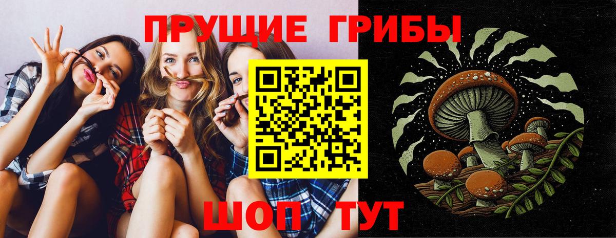 Псилоцибиновые грибы Psilocybe Выкса