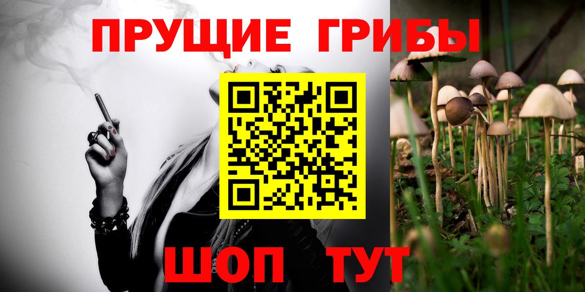 Псилоцибиновые грибы Cubensis  Галлюциногенные грибы мицелий  Вход с VPN  Выкса 