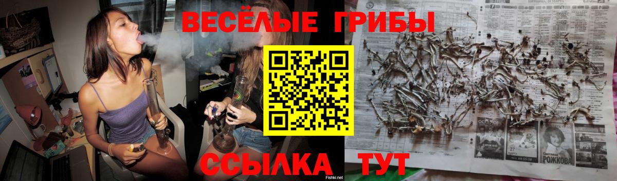 Галлюциногенные грибы прущие грибы  Вход с VPN  цены   Выкса 